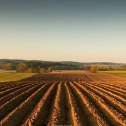 Kaszuby, Przodkowo