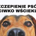 Harmonogram szczepień psów przeciwko wściekliźnie na terenie gminy Przodkowo
