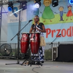 Galeria Piknik 2025